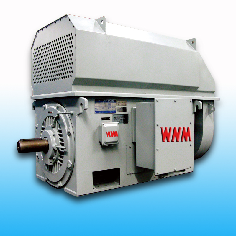 Y、YKS、YKK系列中型電機(jī)（6KV/10KV）