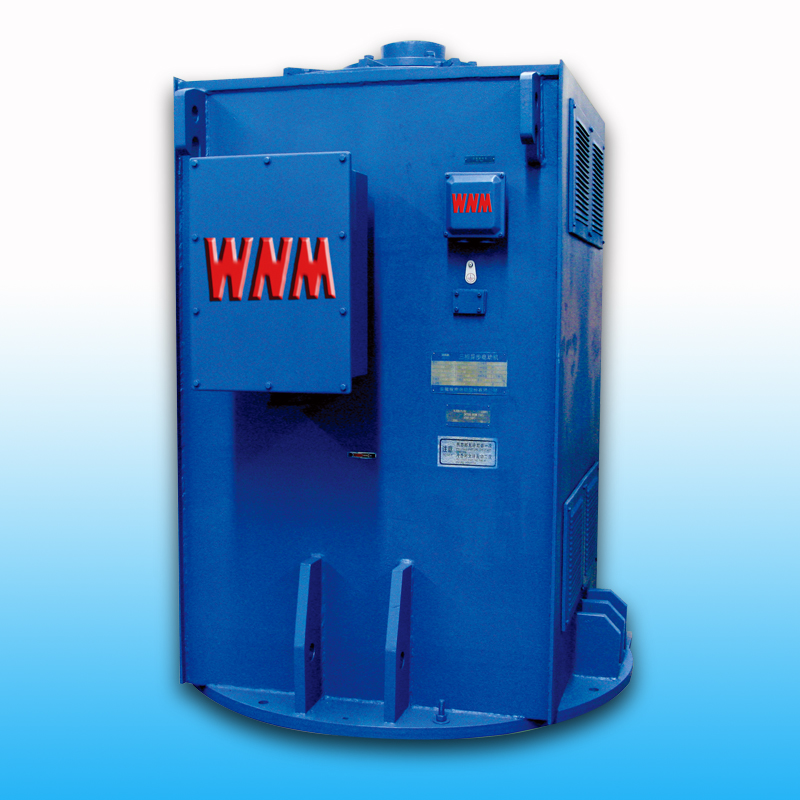 YL、YLKK系列立式電機(jī)（6KV/10KV）